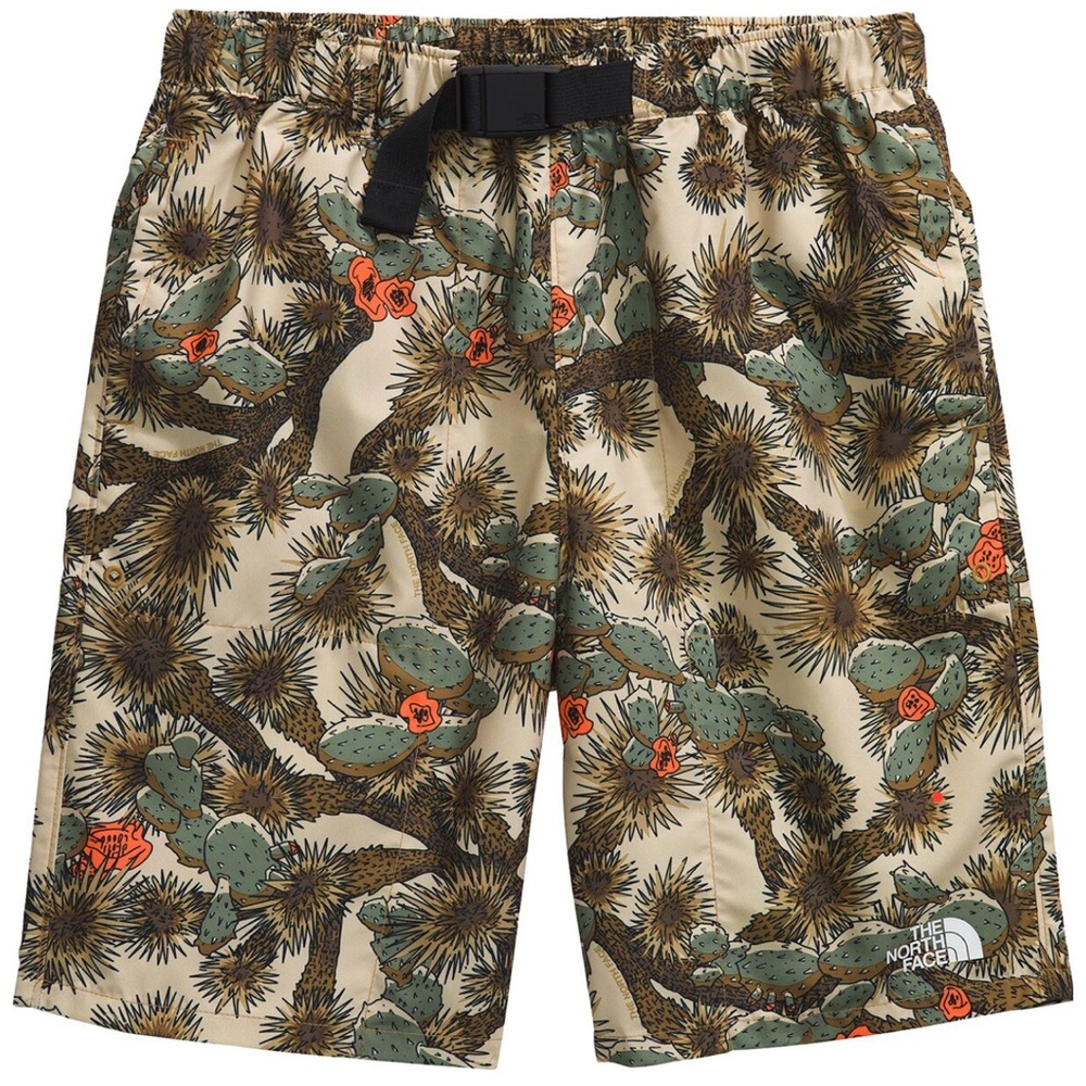 The North Face Amphibious Class V Belted CACTUS Boys Shorts | Size L | NWT